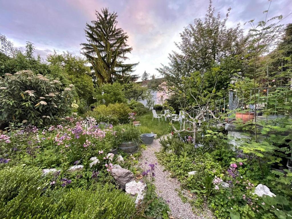 Bed and Breakfast Au Jardin Цухвиль Экстерьер фото