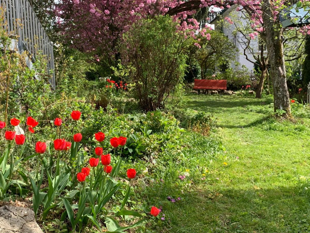Bed and Breakfast Au Jardin Цухвиль Экстерьер фото